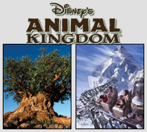 Reino animal de Disney